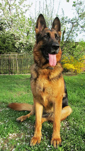 Meet your Posher, Kasia